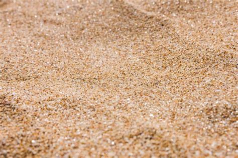 Close Up Of Sea Beach Sand Or Desert Sand Stock Image Image Of Summer