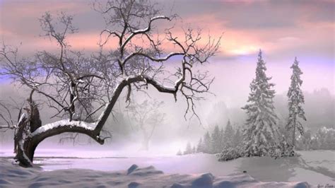 Nature Landscapes Trees Forest Winter Snow Seasons