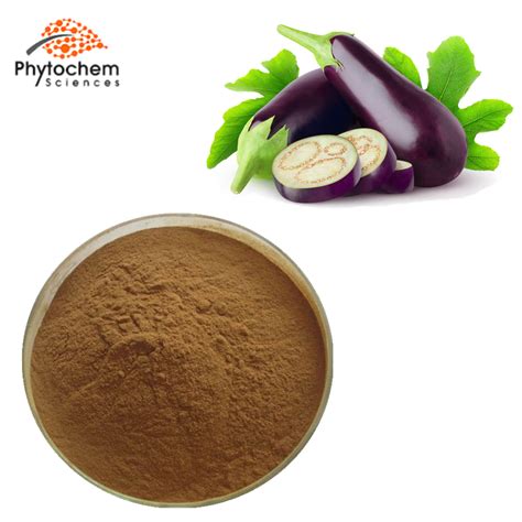 Eggplant Extract Supplement Health Benefits For Anti Cancer