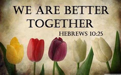 Dont Neglect Fellowship Better Together Daily Bible Study Bible Study