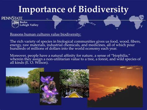 PPT Biodiversity Of World Biomes PowerPoint Presentation Free
