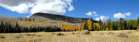 Autumn On Boulder Mountain Utah Escalante National Monument