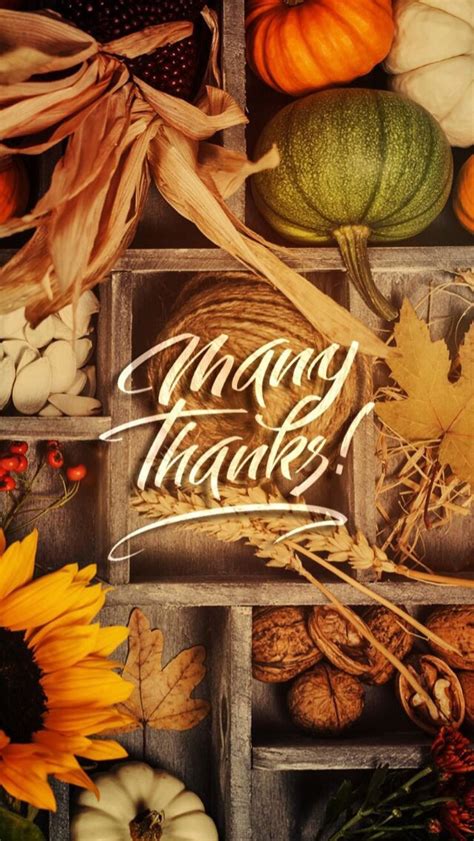 Iphone 8 Thanksgiving Wallpapers Wallpaper Cave