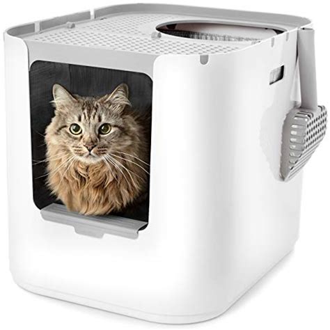 Top 5 Best Litter Boxes For Messy Cats Catvills