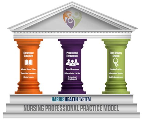 Nursing Professional Practice Model Domain I Knowledge Structure
