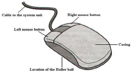 Inercia Estado Confusión Parts Of A Computer Mouse Menta Motear Envolver