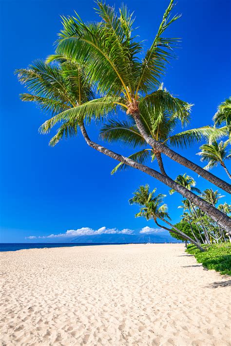 Kaanapali Palms Kaanapali Beach Maui Hawaii