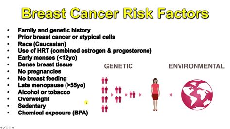 Breast Cancer Basics Risk Factors And Genetics Youtube