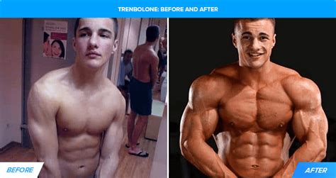 Trenbolone Acetate What Is Tren And Its Effects Legion