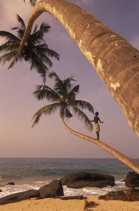Sri Lanka Hikkaduwa Beach Editorial Photography Image Of Beach 72109947