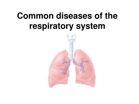 Ppt Common Diseases Of The Respiratory System Powerpoint Presentation