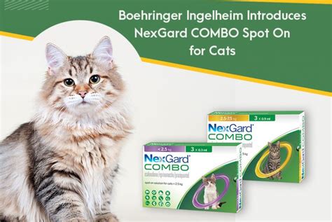 boehringer ingelheim introduces nexgard combo spot on for cats