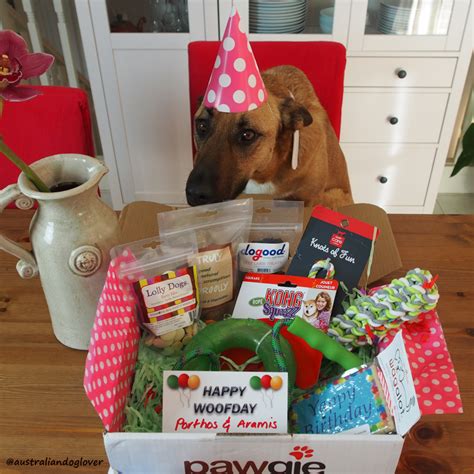 Happy birthday gifts delivered in 50+ cities with same day and midnight delivery. Pawgie Birthday Gift Box for Dogs | Australian Dog Lover