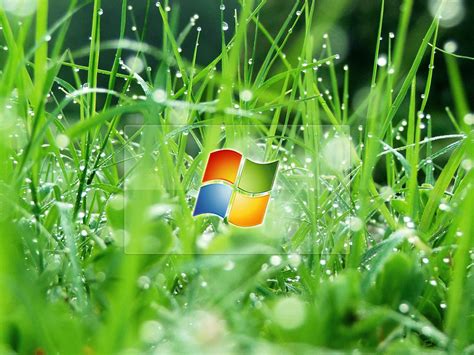 Xs Wallpapers Hd Windows Xp Wallpapers And Backgrounds