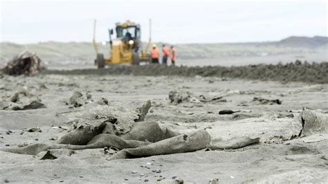 NZ Noon Mystery Substance Washes Up On Beach NZ Herald