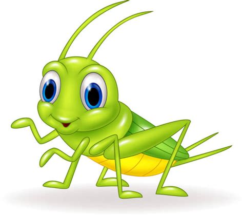 Cricket Animal Cartoon Clip Art Vector Images And Illustrations Istock