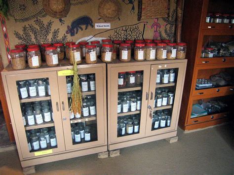 In a seed bank, seeds are kept in a cool (generally frozen), dry condition so that they do not sprout or rot. Advantage Of Storing Seeds In Seed Banks / Storing ...