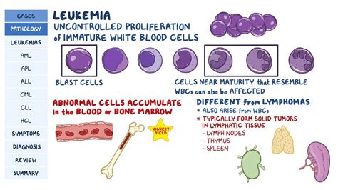 Leukemias Pathology Review Osmosis