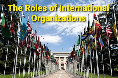 What Are The Roles Of International Organizations Soapboxie