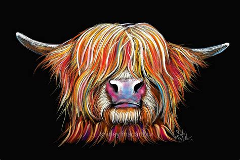Highland Cow Print Box Canvas Wall Art Cow Print Cow Canvas