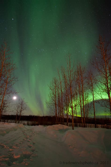 Claus Vogel Photography Yukon Lights At Night