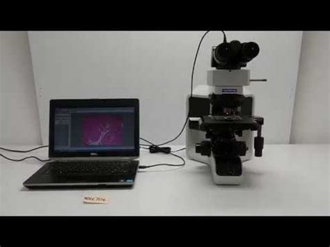 Olympus Bx Brightfield Microscope Bostonind Youtube