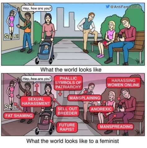 Hilarious Meme Reveals What The World Looks Like To A Radical Feminist