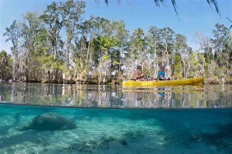 Explore The Waterways Of Crystal River Florida Outside Online