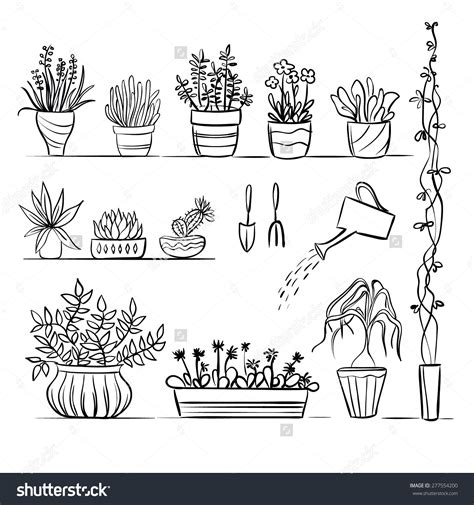 Pot Plants Tools Sketch Hand Drawing Stock Vector Royalty Free