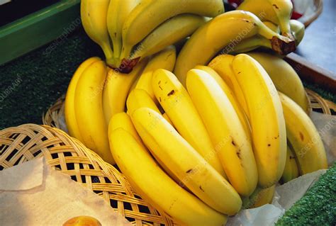 Organic Bananas Stock Image H1102089 Science Photo Library