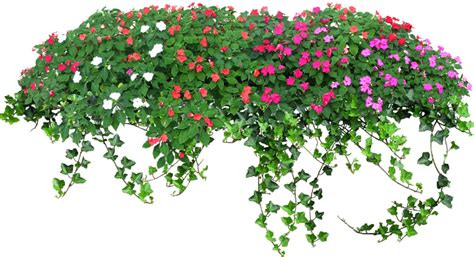 Flower Garden Png Png Image Collection