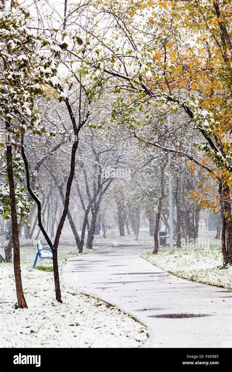 First Snowfall In Urban Park In Autumn Day Stock Photo Alamy