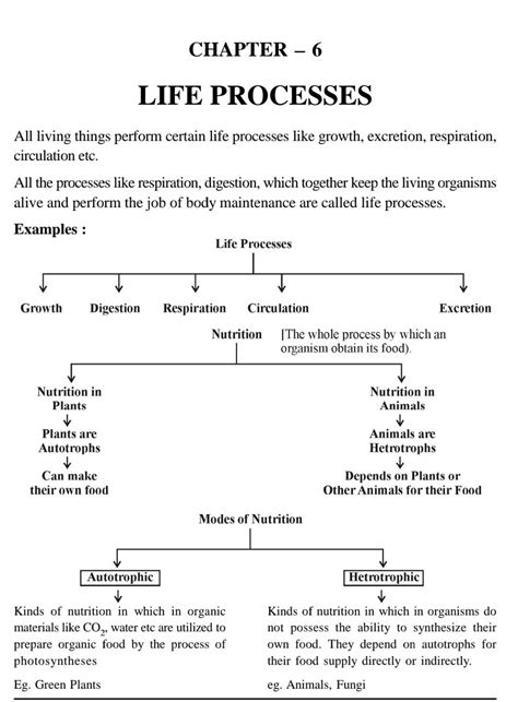 Life Process Flow Chart Hot Sex Picture