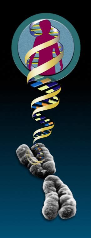 permiso caso wardian drástico descubrimientos sobre el genoma humano grado cañón teoría