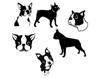 Jan 22, 2021 · boston terrier svg boston instant download dog love puppy. free svg files for cricut | Boston terrier tattoo, Boston ...