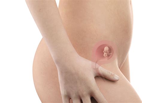 Nel ritratto fine art di gravidanza ho scoperto infinite possibilità artistiche, unite all'emozione incomparabile di un momento così importante nelle tue foto invece le donne appaiono serene e forti. Decima settimana di gravidanza (settimana 10 ...