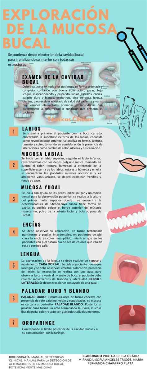 Exploración De La Mucosa Bucal Escuela De Higiene Dental Higiene