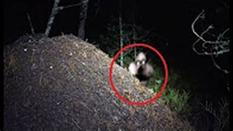 10 creepiest ghost sightings ever caught on camera youtube