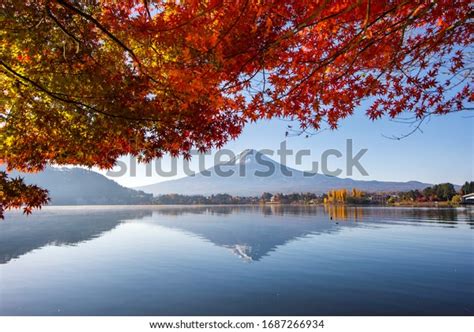 Fuji Mountain Reflection Red Maple Leaves Stock Photo Edit Now 1687266934