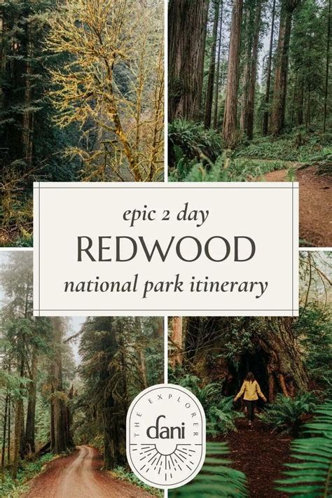 Magical 2 Day Redwood National Park Itinerary Map Included