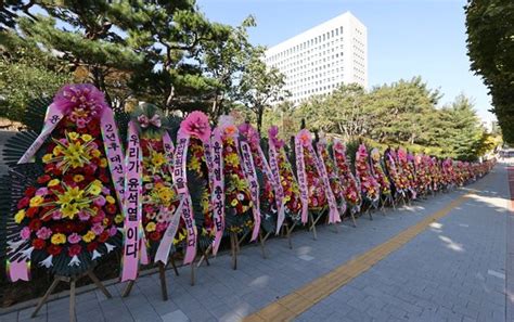 (이 책은) 윤석열 전 총장에 대한 사회과학적 해석을 담은 평전이라 밝혔다. 대검 앞 쫙 깔린 '윤석열 응원 화환' 100개…진혜원 "조폭이냐 ...