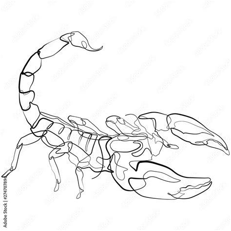 Scorpion One Line Drawing Continuous Line Zodiac Sign Animal Vector