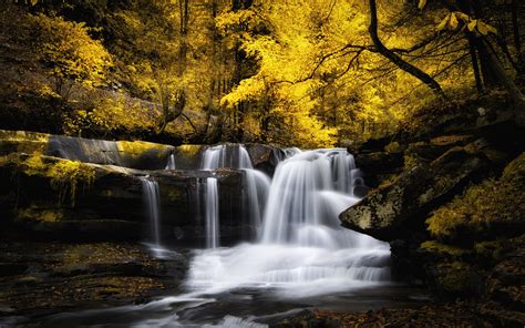 Waterfall Autumn Cascade Forest River Stream Wallpapers Hd