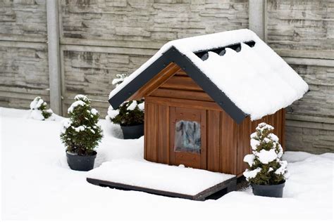 How Do You Winterize A Dog House Direct Energy Regulated Services
