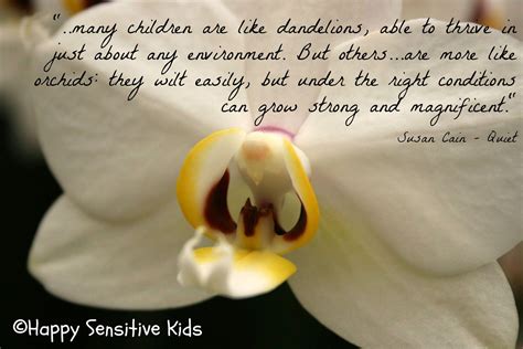 Happy Sensitive Kids Sensitive Children Highly Sensitive Child Kids