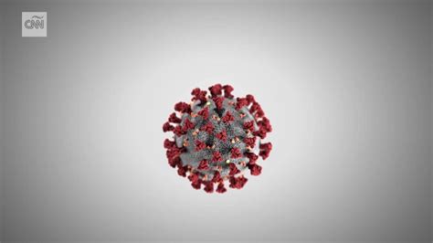 ¿cuál Es El Periodo De Incubación Del Coronavirus Cnn Video