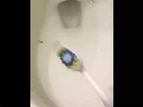 This Chick Who Caught Her Babefriend Cheating Then Rubbed His Toothbrush In His Filthy Ass Toilet