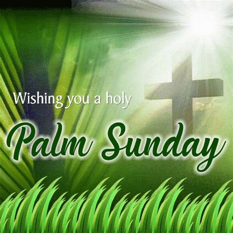 Palm sunday is celebrated on the sunday before easter. A Holy Palm Sunday Card For You. Free Palm Sunday eCards ...