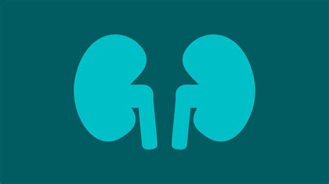 اضطراب في نخاع العظم، المعروف باسم كثرة الحمر الحقيقية (بالإنجليزية: www.turkishdoctors.net