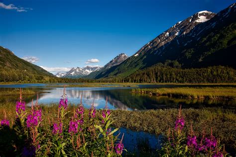 Free Images Landscape Nature Wilderness Walking Sky Meadow